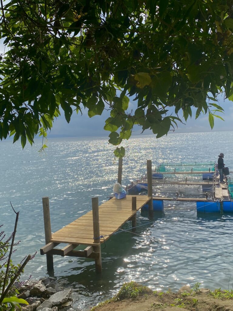 A dock rests on a bright blue lake with sunlight